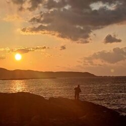 和歌山市江（吉丸渡船）でグレ釣り