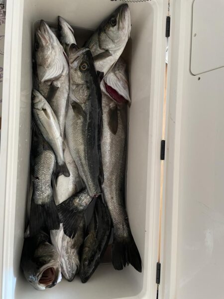 爆風シーバスゲーム