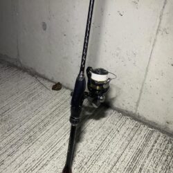 息抜きにチニング