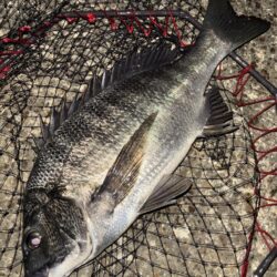 ヘチってきました