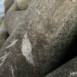 2026.No.2  ライトゲーム