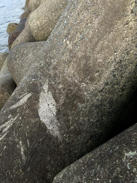 2026.No.2  ライトゲーム