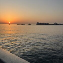 セイゴ湧く千葉港!