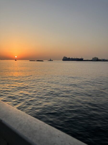 セイゴ湧く千葉港!