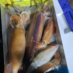 イカメタル調子良かったはずが…