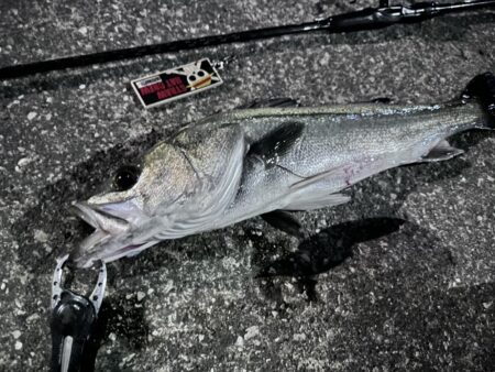 寒いのにニ投目、三投目でキャッチ！