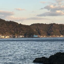 新年初エギング