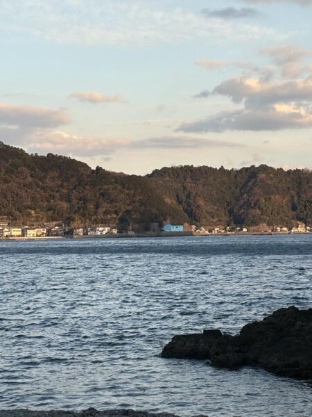 新年初エギング