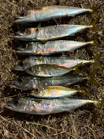 そろそろ終わり?