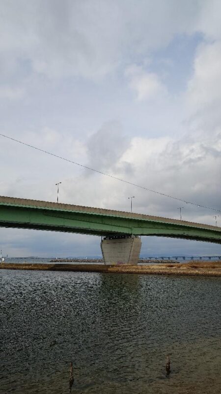 日中のライトゲーム、穴釣り