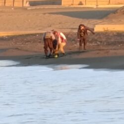 風も波も穏やかな湘南