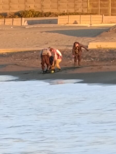 風も波も穏やかな湘南