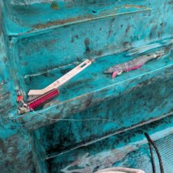 一発目はイカ狙いから