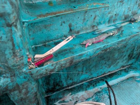 一発目はイカ狙いから