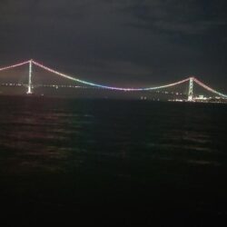 電気ウキ釣り 2