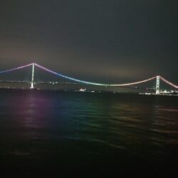 電気ウキ釣り 4