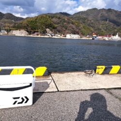 釣り納めは境港