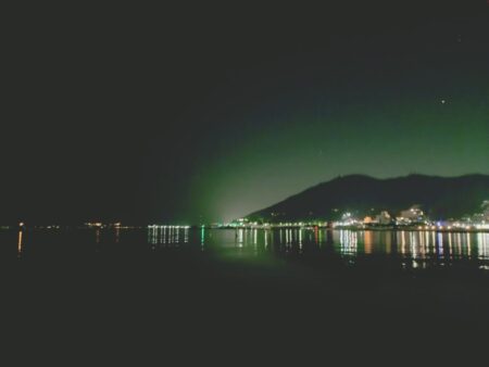 狙っての今季初メバル🐟️