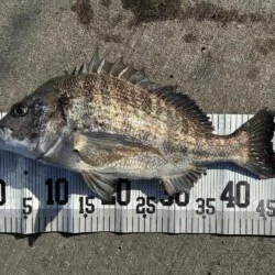 イチノ兄弟、釣果！