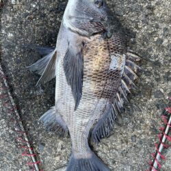 イチノ兄弟、釣果！