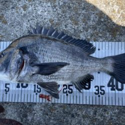 イチノ兄弟、釣果！