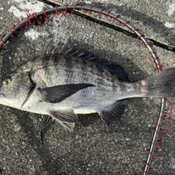 イチノ兄弟、釣果!