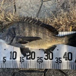 イチノ兄弟、釣果!