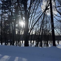 氷上サクラ咲く 2nd