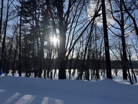 氷上サクラ咲く 2nd