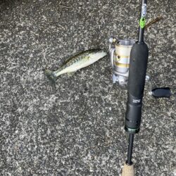 2026初釣り