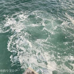 寒波の中メジナ!