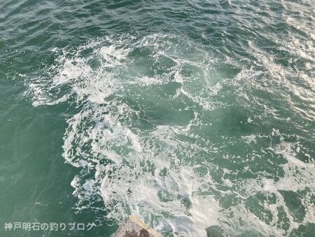 寒波の中メジナ!