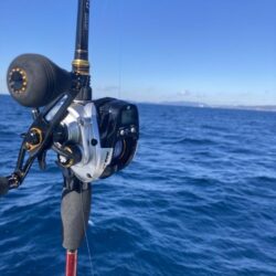 五目タイラバで目標達成