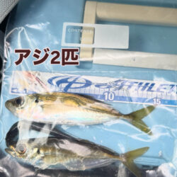 2026年　初釣り🎣