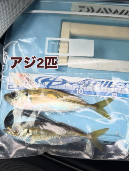 2026年　初釣り🎣