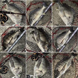 ヘチってきました