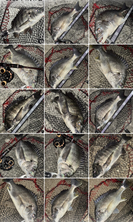 ヘチってきました