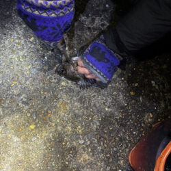 東二見メバル23