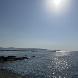 業務スーパーのムール貝！