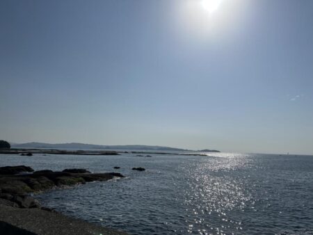 業務スーパーのムール貝！