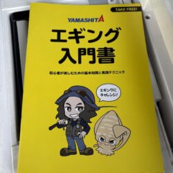 新年初エギング