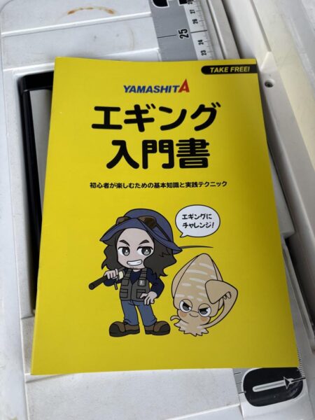 新年初エギング