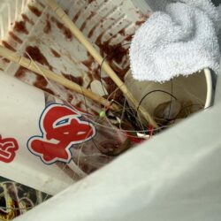 清掃活動：2026年　初釣り