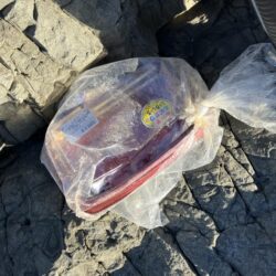 清掃活動：寒グレ釣り