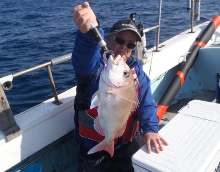 アオナ（アオハタ）にアコウ（キジハタ）が・・・・・