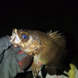 フロートゲ～ム。