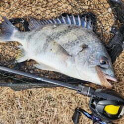 雪中冬チニング