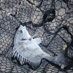 短時間チニング