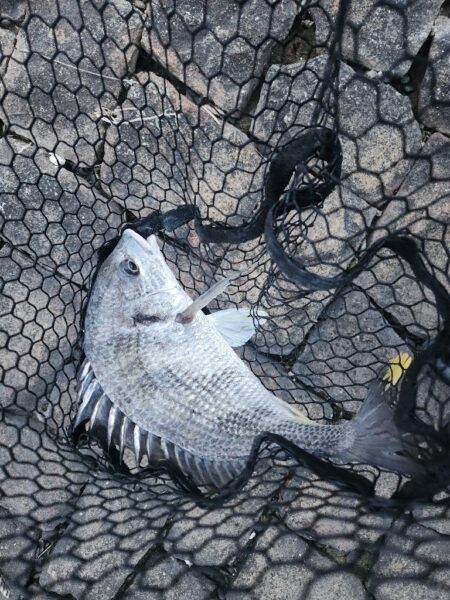 短時間チニング