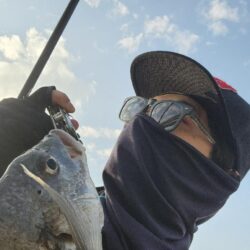 フリリグ、ミドスト、プラグ。何でもアリチニング